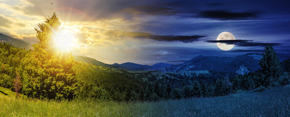 Wall Mural - slope of mountain range with coniferous forest on a meadow with sun and moon at twilight. day and ni