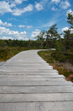Fototapeta Most - New Wooden path in a moor Landscape