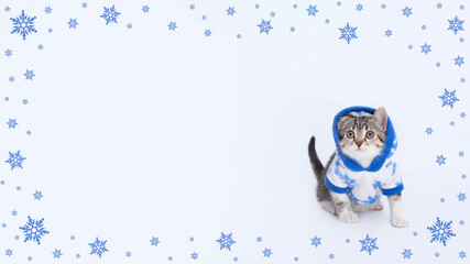 Wall Mural - Lovely tiny kitten. Beautiful web banner with copy space. Little funny scared Kitten in winter clothes on a white background. Pet care concept. Tiny Kitten looks at the camera. Starry sky. Snowflakes