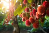 fresh rambutan fruit on the tree. generative ai