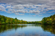 © Andrew Kornylak - A peaceful wooded riverbank along the Cape Fear River, North Carolina