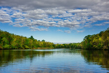 A peaceful wooded riverbank along the Cape Fear River, North Carolina