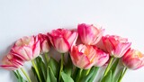 Fototapeta Tulipany - bouquet of tulips on white background