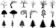 Tree Silhouette Vector Illustration Set, Ideal For Nature, Forest, Park, Outdoors, Isolated, Background, Different Types, Deciduous, Coniferous, Oak, Pine, Birch, Maple, Spruce, Fir, Cedar