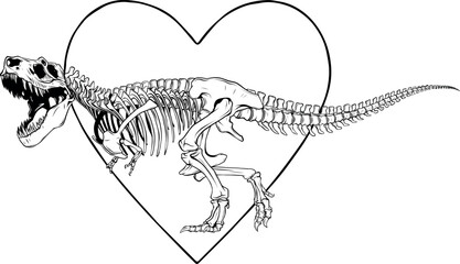 Wall Mural - vector Tyrannosaurus Rex dinosaur skeleton outline illustration