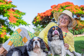 Senior smiling woman lying outdoors in the park with two cavalier king charles spaniel dogs. Retired elderly lady enjoying her best friends