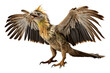 Archaeopteryx Ancient Feath on a White or Clear Surface PNG Transparent Background