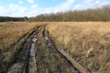 Wall Mural - dirt road on autumn meadow