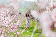 © dmitriisimakov - spring nature travel walk beautiful woman brunette in flowering trees