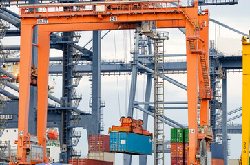 Wall Mural - RTG cranes are lifting containers at the port.