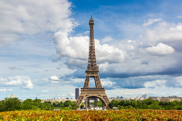 Wall Mural - Eiffel Tower in Paris in a summer day, France