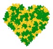 Heart of maple leaves