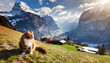 wonderful sunny landscape in swiss alps cat on the grass wengen popular tourist village over the lauterbrunnen valley switzerland europe concept of an ideal resting place creative image