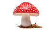Red toadstool mushroom on transparent background, PNG image with background removed, Created with Generative Ai technology.