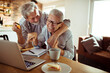 © Vorda Berge - Elderly senior couple online shopping from home