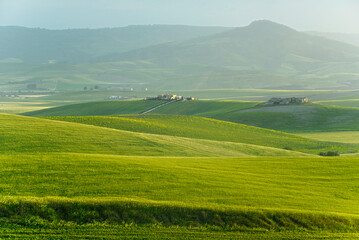 summer countryside landscape, Basilicata, Italy 