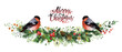 Christmas pine garland with red bullfinch birds and lettering inscription Merry Christmas.