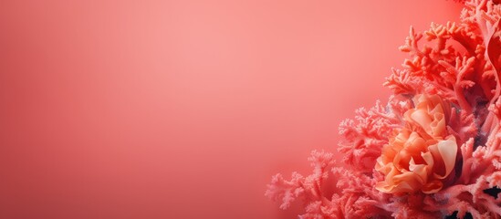 Poster - vibrant coral background