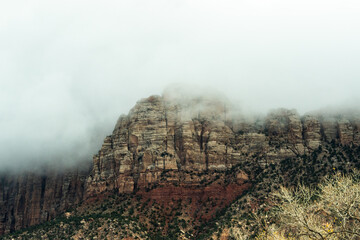 Poster - zion national park in the fog