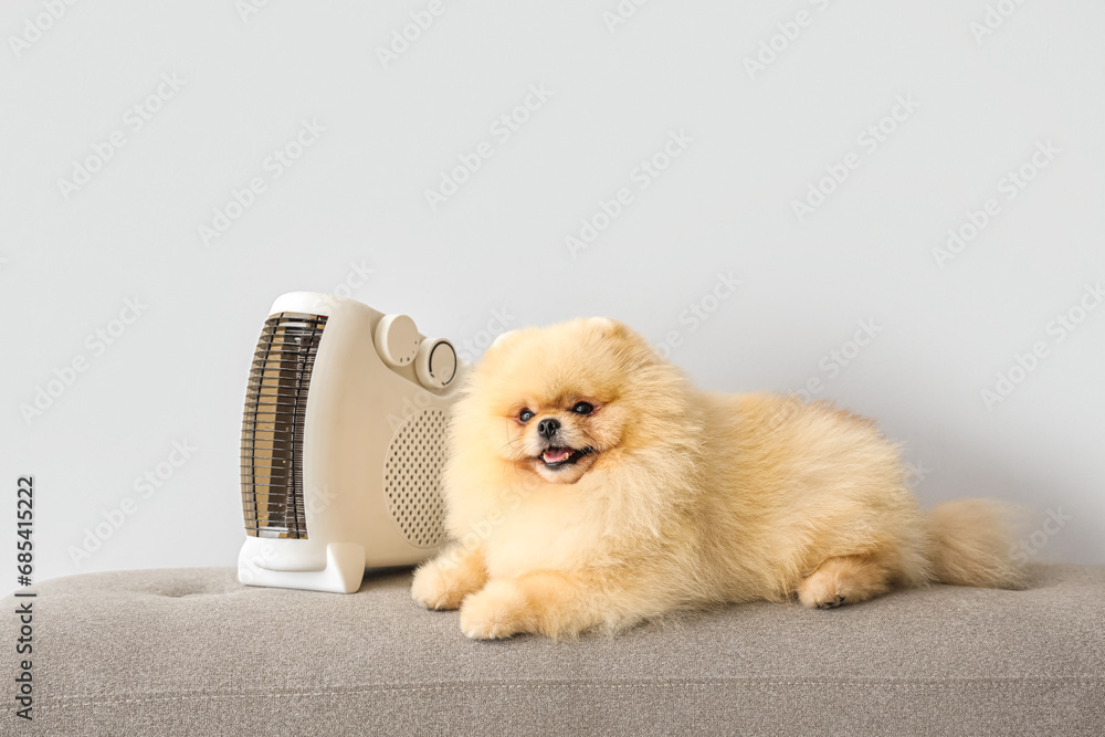 Cute Pomeranian spitz with electric heater on bench against light background