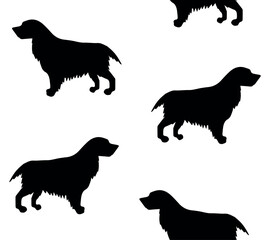 Canvas Print - Vector seamless pattern of hand drawn spaniel dog silhouette isolated on white background