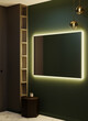 © Viktoriia - Lobby interior with accent large trend mirror. Green color dark modern wall paint. Luxury premium rich style corridor hall or bathroom. Decorative shelving and table. Golden pedants. 3d render