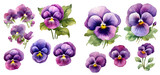 pansy flower watercolor illustration clipart. generative ai