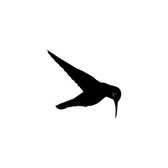 Flying Hummingbird Silhouette, can use Art Illustration, Website, Logo Gram, Pictogram or Graphic Design Element. Vector Illustration