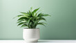 Create an image of a lush green plant in a white pot for a fresh aesthetic.