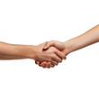 © PNGstock - Handshake men and women. men and women shaking hands on white background.