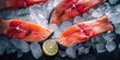 Fresh salmon fillets on ice