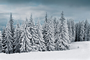 Poster - winter in mountains