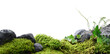 Nature background of stones, moss and plants