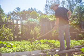 Farmer cultivating land in the garden with hand tools. Soil loosening. Gardening concept. Agricultural work on the plantation