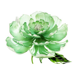 Wall Mural - Green crystal peony,green peony made of crystal isolated on transparent background,transparency 