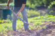 © shaploff - The farmer digs the soil in the vegetable garden. Preparing the soil for planting vegetables. Gardening concept. Agricultural work on the plantation