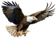 Eagle flying gracefully on transparent background.