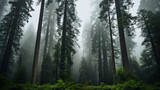 Fototapeta Las - Misty forest. Generative Ai