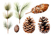 Watercolor pine cone and branches collection. Generative AI.