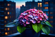 Flowers on the balcony in the city