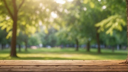 Wall Mural - A Sunny Day in the Green Park with Trees and a Blur Background
