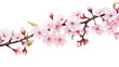 Long branch of cherry blossoms on a cut out PNG transparent background