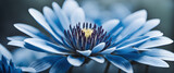 Fototapeta  - Primer plano de una Nymphaea en color azul. Hermoso nenúfar de pétalos azules. Banner de flor azul. Detalle de flor silvestre. Hecho con IA.