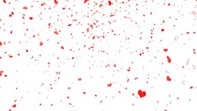 Red Love Heart Animation Rain Fall For Valentine Day With Transparent Background.  Format Quick Time Alpha Rgb, Video Codec Animation.