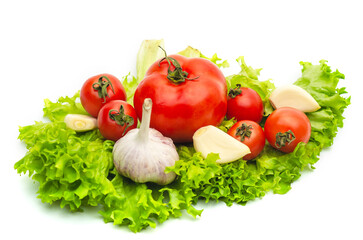 Wall Mural - Mix of fresh vegetables - garlic, tomatoes and green salad leaves. White background, isolated..