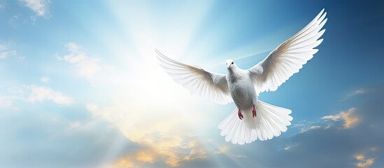 Wall Mural - Christian symbol of bright light shining from heaven is the holy spirit dove soaring in the blue sky Copy space image Place for adding text or design