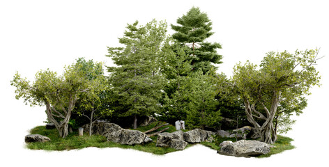 Aufkleber - PNG small forest transparent background, 3d illustration rendering 