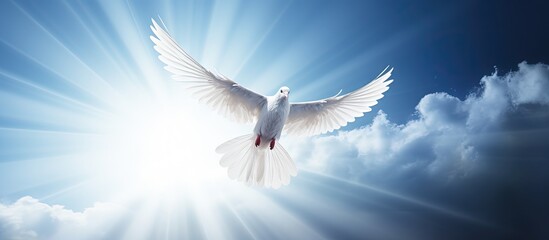 Poster - Christian symbol of bright light shining from heaven is the holy spirit dove soaring in the blue sky Copy space image Place for adding text or design