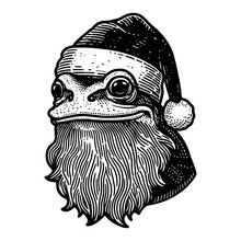 Frog With Santa Beard And Hat Christmas Sketch