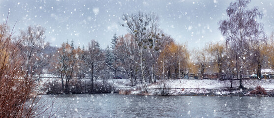 Wall Mural - Winter landscape with snow-covered trees and bushes on the bank of a river or lake. Cold winter day